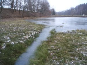 místě, druhé místo obsadila v ISAREX CUPu 2007 a jako reprezentantka České republiky na mistrovství Evropy ve francouzském Cauterets