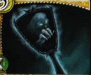 Obětování Zrcadlo Shaelyno Lektvar léčení IMMOLATE Magický boj: Aktivací této karty získá hrdina bonus + ke svému bojovému hodu ve fázi magického boje.