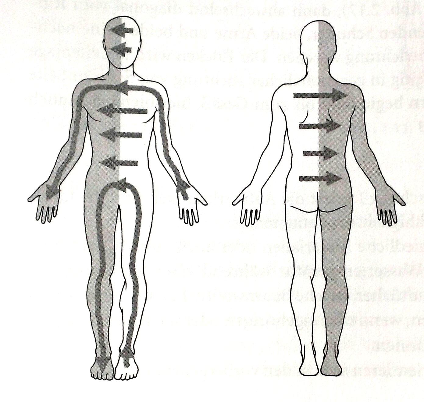 Příloha 14: Neurofyziologická