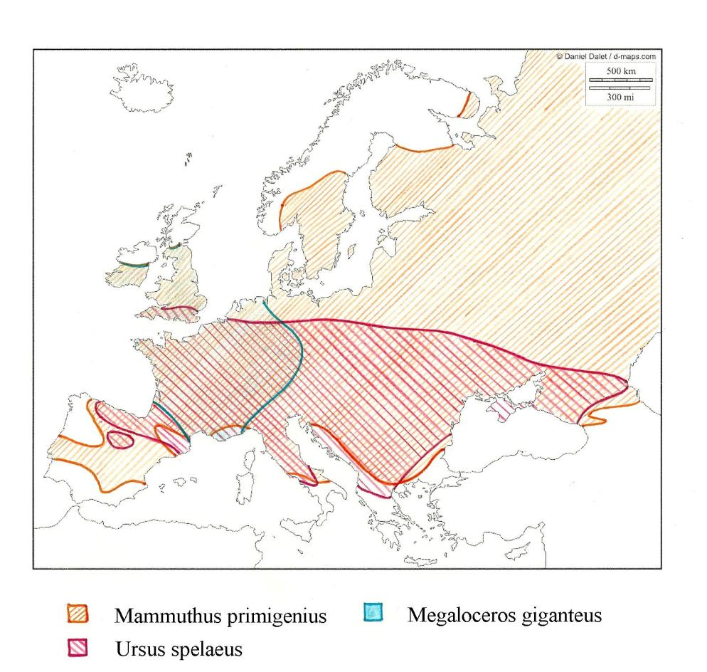 Medvěd jeskynní se během pleistocénu šířil směrem z území dnešního Španělska na Ural a Kavkaz.