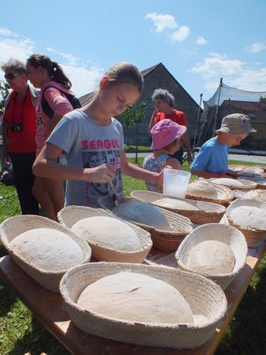 Environmentální programy pro základní školy Plzeňského