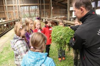 programů: Jak se žije na farmě Obílí (od klásku ke