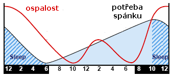 organizmu má nějaký charakteristický časový průběh cyklus spánek/bdění produkce hormonů během dne (cirkadiánní rytmus), měsíce (lunární), roku (anuální) velmi často v
