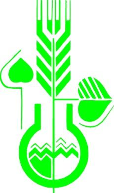 Ústřední kontrolní a zkušební ústav zemědělský Oddělení bezpečnosti půdy a lesnictví Zpráva o testu klonů topolů a vrb na pozemku ve