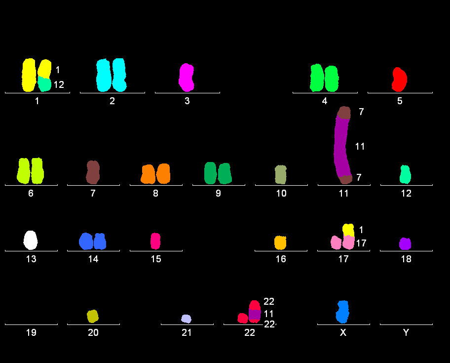 chromozomu 7.