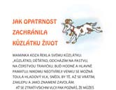 Jednoho dne odjede Lukáš na školní výlet a malí kluci zůstanou doma sami.
