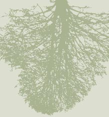 výstavy, súťaže Nadácia Zelená nádej Green Perspective Foundation Vyhlásenie súťaže o Lesoochranársky čin roka 2006 j a Rok v lese Marek VANGA Do 13.