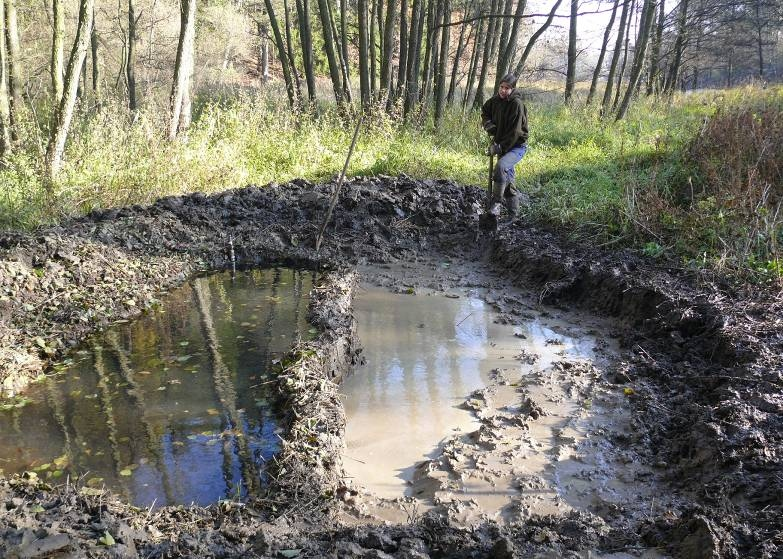 V okrajové části neudržované louky byly ručně vyhloubeny tři menší mělké tůně o velikostech 10, 15 a 25 m 2 za účelem zachování a podpory místních populací vodních a mokřadních organismů, zejména pak