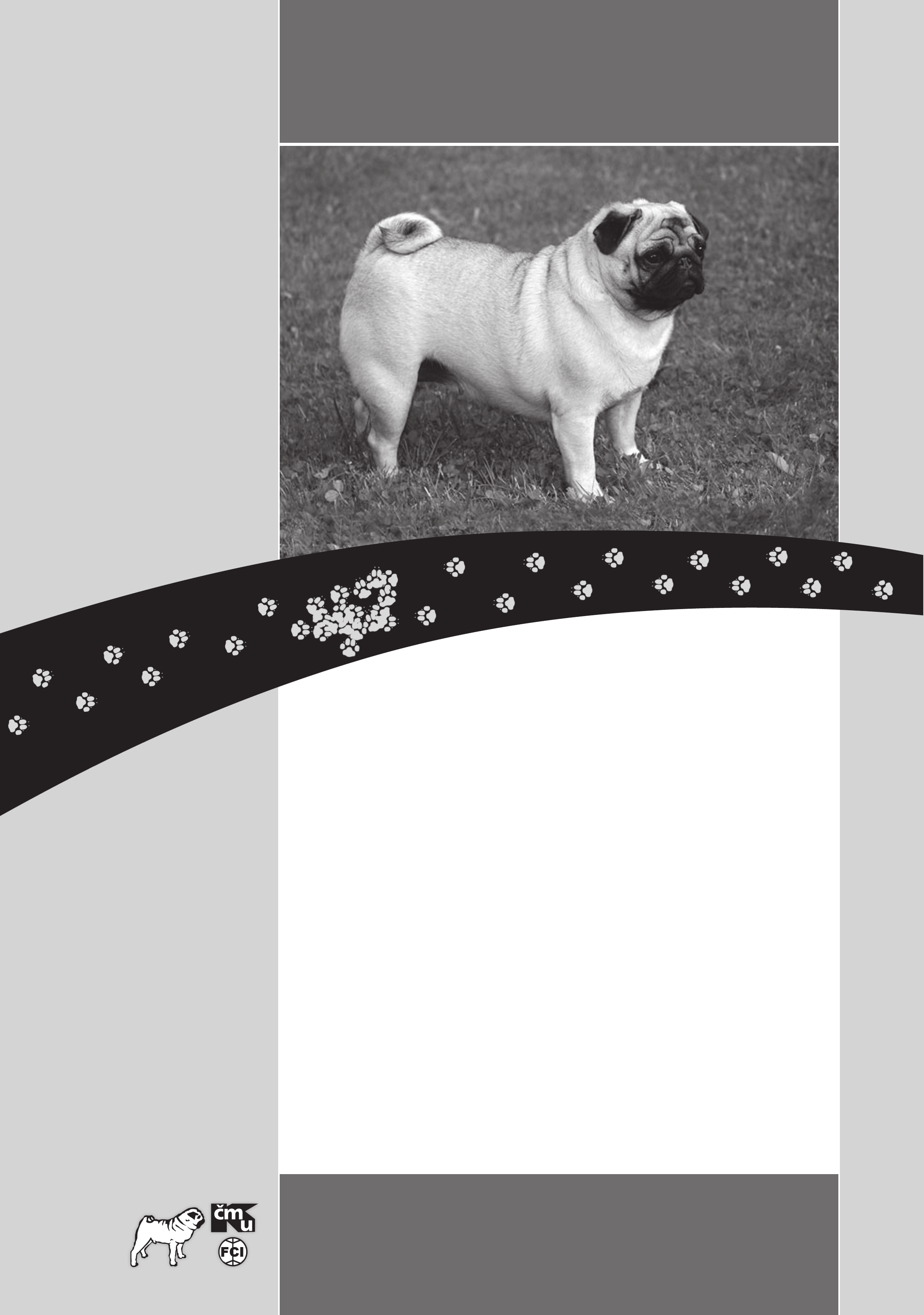 Představujeme vám: ELIZA Dog-Lome, Český šampion, Klubový vitěz, Krajský vítěz, Oblastní vítěz Datum narození: