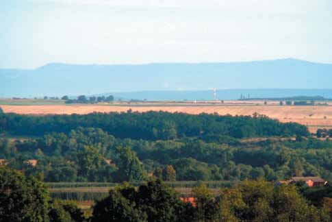 Obr. 1: Pohled na chmelařskou oblast nacházející se v povodí řeky Ohře. Nahoře dominuje pohoří Krušných hor, dole se rozprostírají chmelnice na Stekníku. II.