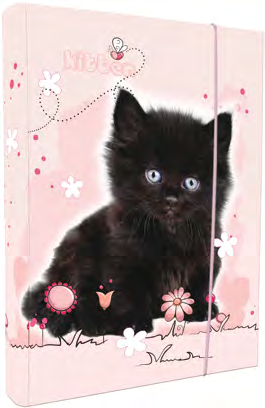 gumou Kitten 4349 A5 desky na