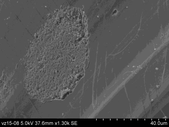 9 SEM snímky vzorku s metakaolínem (M4) a) korodovaný střep CRT skla; b) detail poškození CRT skla vlivem přednostní koroze šlíry Geopolymerní s mletou vysokopecní ocelárenskou struskou (S4) Vzorek