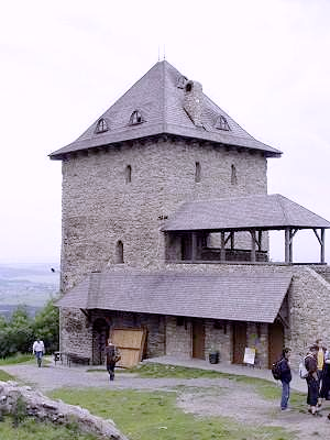 9. 7. Strašidelný večer sjezd strašidel, rytířské vystoupení. 16. 7. Rytíři na hradě a večerní show rytířské souboje, koncert kapely Acoustic Irish a ohnivá show. 30. 7. Za pravdu a kalich pátý ročník dobývání hradu husitské války.