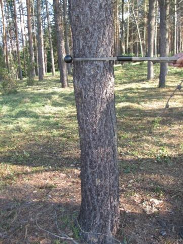 VÝSLEDKY - priemerná hrúbka Pinus banksiana (118 jedincov, 50 proveniencií) priemer = 21, 78 cm najväčšia priem.