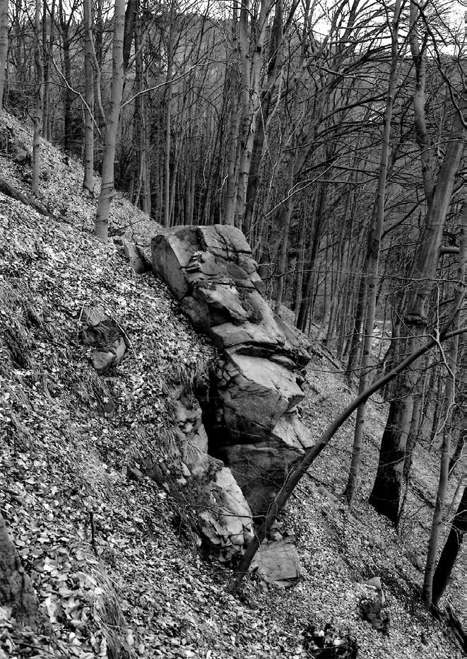 Obr. 7: Granodioritový mrazový srub na jihovýchodním svahu hradního vrchu