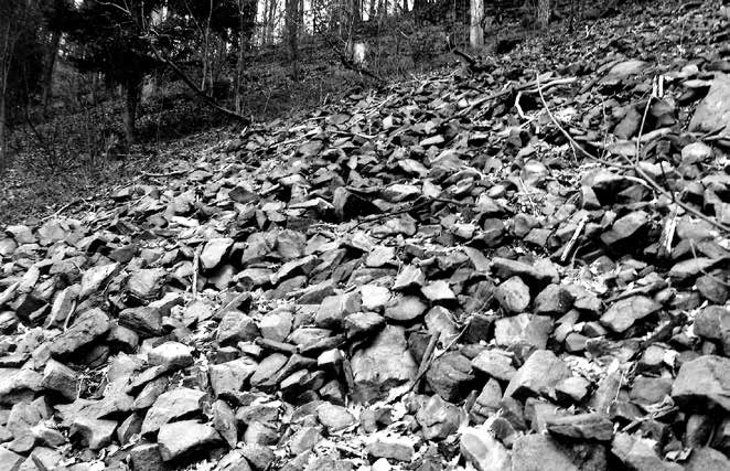 Obr. 9: Kamenný pokryv hranáčů na jihozápadním svahu hradního vrchu Litice. Fig.