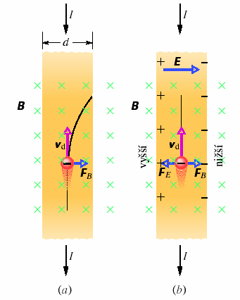 3. Hallův jev Působení magnetického pole na vodivostní elektrony ve vodiči (při průchodu proudu). Měděný proužek tloušťky d, kterým protéká proud I, je umístěn do magnetického pole o indukci.