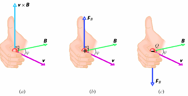 a) Pravidlo pravé ruky určuje směr vektorového součinu v takto: ohnuté prsty pravé ruky orientujeme tak, abychom otočili vektor v do směru vektoru o menší z obou možných úhlů, které tyto vektory