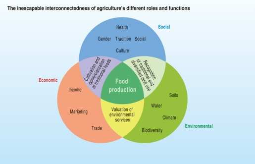 A) multifunkční zemědělství - funkce A multifunctional perspective of agriculture. (2008).