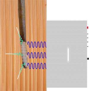 Elektromagnetické vlny - jedná se o jeden z nejnovějších způsobů ochrany dřeva proti dřevokaznému hmyzu.