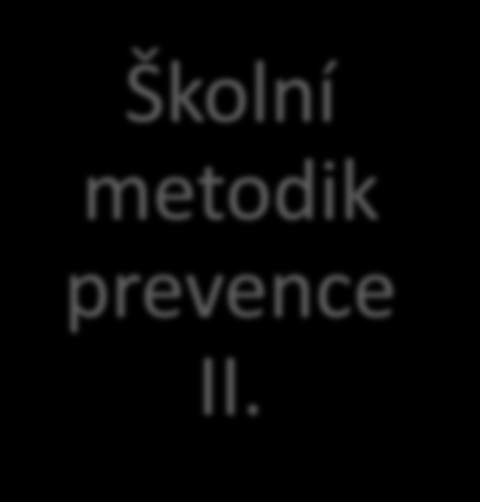 Školní metodik prevence I. Školní metodik prevence II.