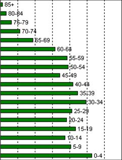 Interní tabulka a graf 2.5.3. Průměrný stav pojištěnců v roce 2007 Věk.