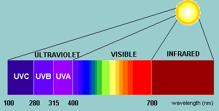 1. OZON UV-C: 100-280 nm, podílí se na vzniku ozonu, ve stratosféře zcela absorbováno O 2 + foton (< 240