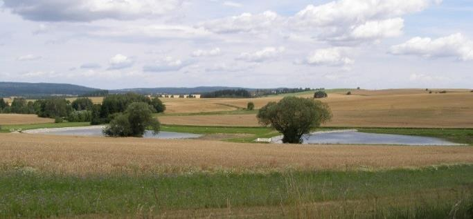 Jednotlivé kroky v pozemkových úpravách Do obvodu pozemkových úprav (ObPÚ) jsou zahrnuty pozemky (zpravidla mimo zastavitelnou část k.ú.) nezbytné pro dosažení cílů pozemkových úprav a obnovy katastrálního operátu s přihlédnutím k požadavkům vlastníků pozemků, příslušné obce a katastrálního úřadu.