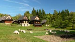 Tabulka 1 - Největší města kraje podle počtu obyvatel Zlín Kroměříž Vsetín Valašské Meziříčí Uherské Hradiště 75 469 obyvatel 29 191 obyvatel 27 296 obyvatel 27 071 obyvatel 25 393 obyvatel b)