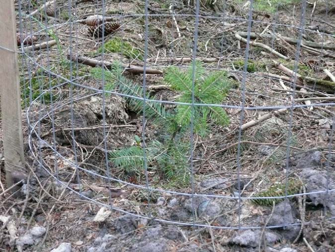 klimatické změny na nelesní  klimatické změny na