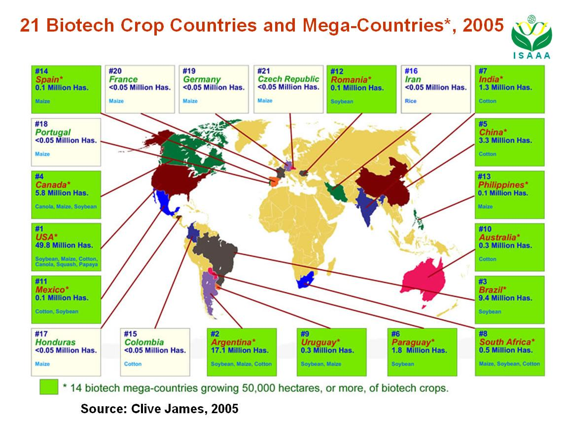 GMO sa pestujú hlavne v USA,