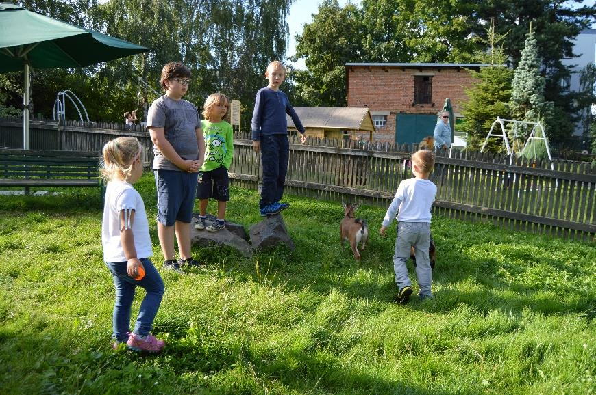 seniorek a zaměstnanců.