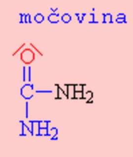 močovina - urea tato kyselina tvoří sloučeniny náhradou svých dvou hydroxylů: fosgen - náhradou obou hydroxylů chlorem kyselina karbamová náhrada jednoho hydroxylu NH 2