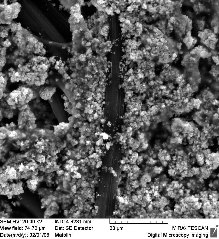 3.2 Příprava anody a katody Obě elektrody jsme vytvořili z carbonpaperu, který jsme vystřihli ve tvaru waferu (16 16 mm).