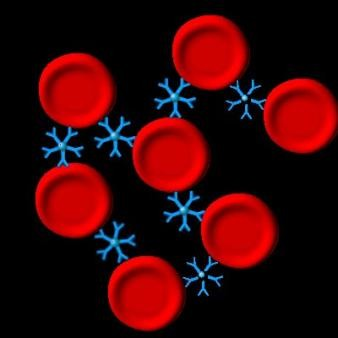 KREVNÍ SYSTÉMY Imunohematologie Aglutinogen + aglutinin = aglutinace Ag Ab shlukován Antigen =