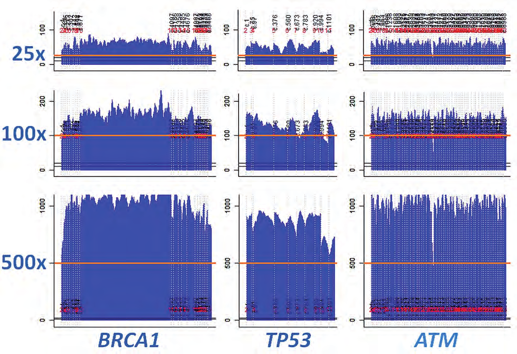 25 100 500 BRCA1 TP53 ATM Obr. 1. Homogenita pokrytí u třech vybraných genů z CZECANCA panelu (BRCA1, TP53 a ATM) při různé cílené hloubce sekvenačního pokrytí (coverage: 25, 100, 500 ; oranžová linka).