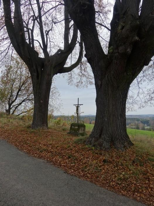 13. Jaklovo údolí, mezi stromy, po pravé straně od habartické