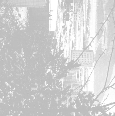 1976 Odborné učilište pre RaJ Humenné Odborné učilište Veľké Kapušany Združený obchodný dom Michalovce ČSAD Michalovce Dom potravín Michalovce Elektráreň Vojany III.