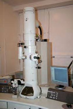 Transmisní elektronová mikroskopie (TEM) JEM 2010 (JEOL) Transmisní elektronová mikroskopie (TEM) je zobrazovací technikou využívající průchodu urychlených elektronů vzorkem a jeho zobrazení na