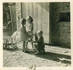 Schuppen an der Ostseite des Bauernhofes Hs.-Nr. 56 in Trstěnice, 1942. 7. Hospodaření na polnostech náležících k usedlosti čp.
