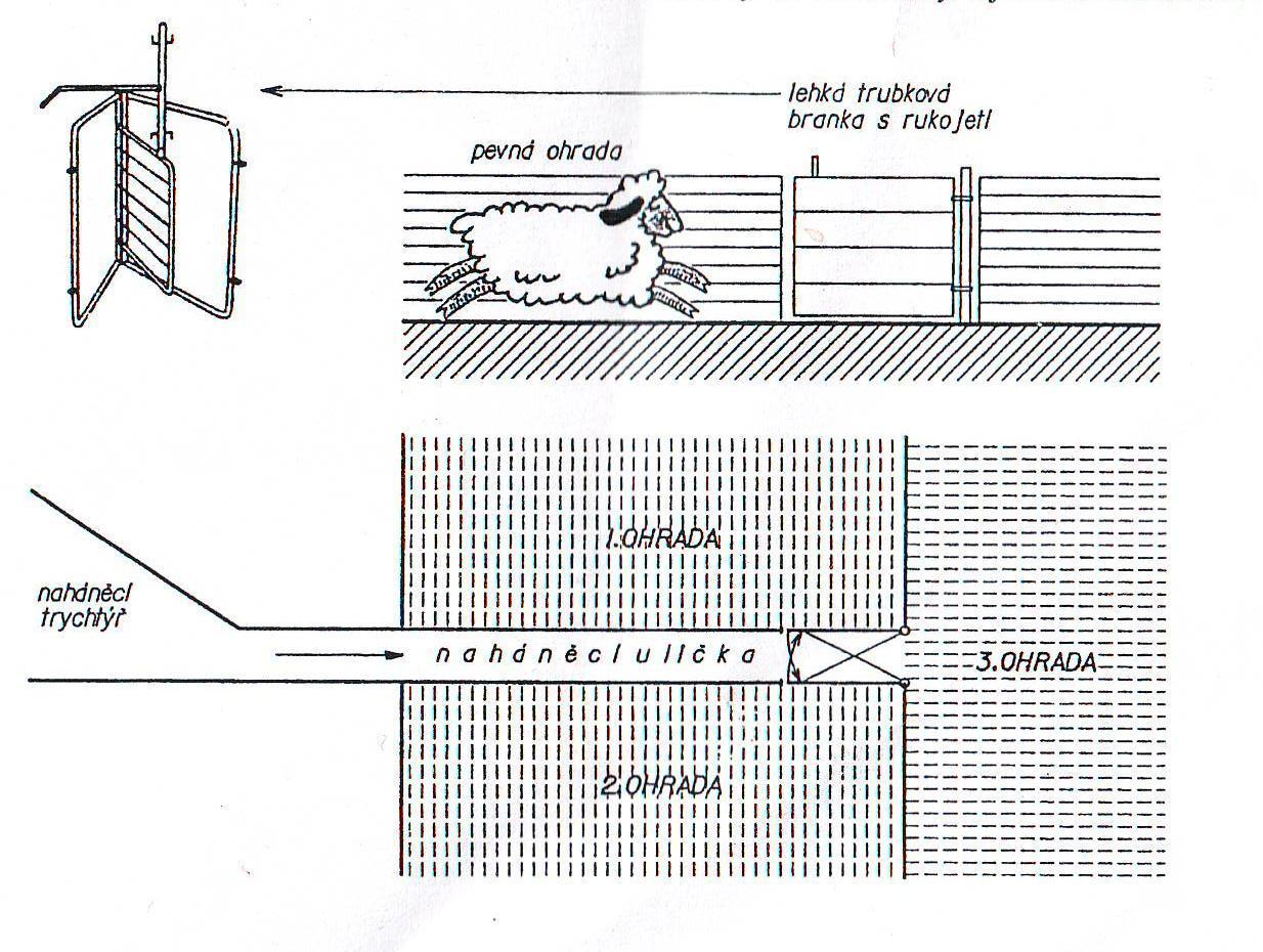 Manipulační ohrady Manipulační ohrady slouží k třídění, případně fixaci zvířat pro různé zákroky.