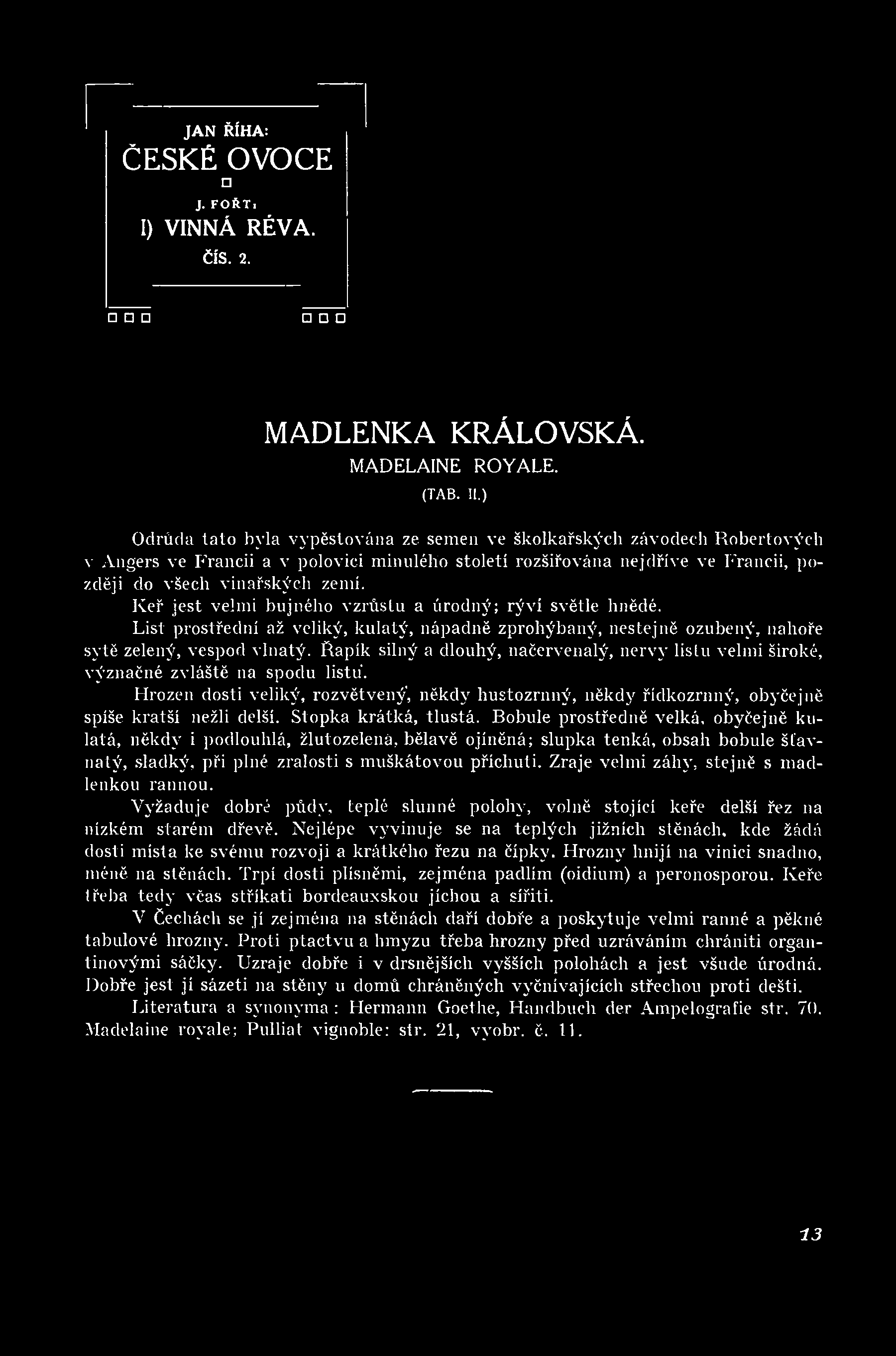 Stopka krátká, tlustá. Bobule prostředně velká, obyčejně kulatá, někdy i podlouhlá, žlutozelená, bělavé ojíněná; slupka tenká, obsah bobule šťavnatý, sladký, při plné zralosti s muškátovou příchuti.