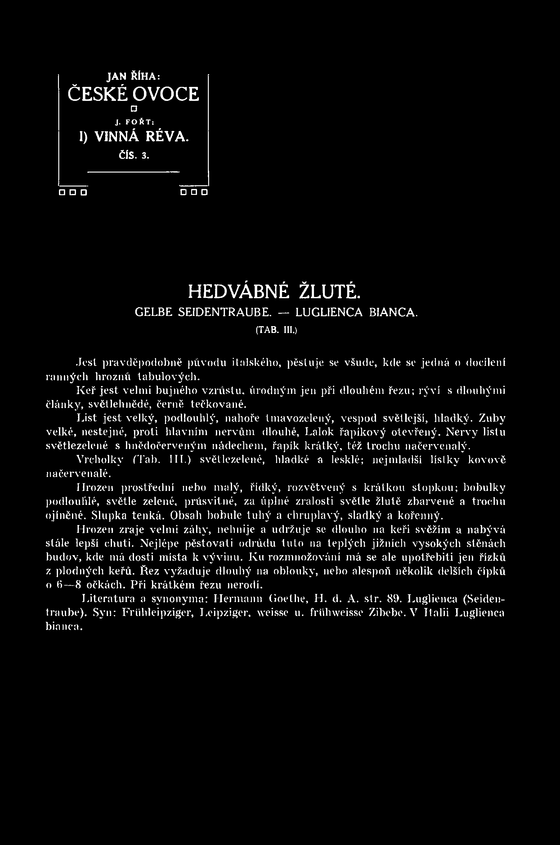 ) světlezelené, hladké a lesklé; nejmladší lístky kovově načervenalé.
