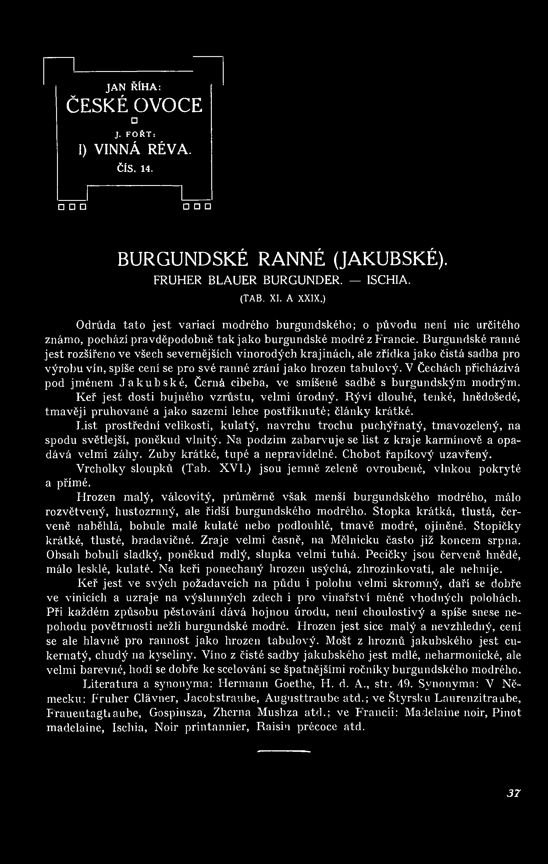 Burgundské ranné jest rozšířeno ve všech severnějších vinorodých krajinách, ale zřídka jako čistá sadba pro výrobu vín, spíše cení se pro své ranné zrání jako hrozen tabulový.