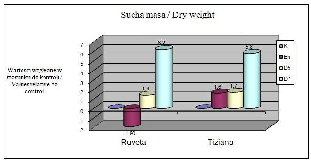 Zawartość suchej masy w korzeniach roślin rozwiniętych z nasion pochodzących z programu hodowlanego energ hill była, od lipca do października, wyższa w stosunku do zawartości suchej masy w korzeniach