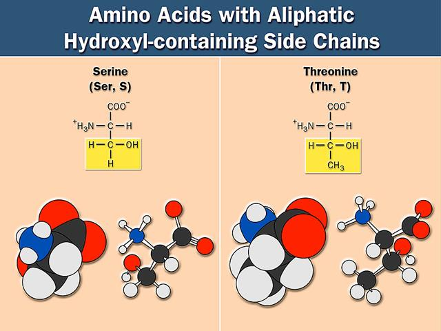 Hydroxy-