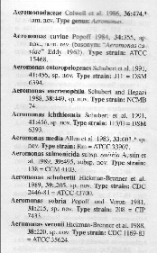 Aeromonas spp.