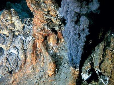 Doména Archaea -organizmy ve vodách, na souši (anaerobní,