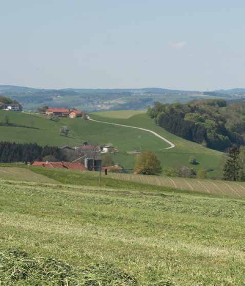 prstů. n Výškově nastavitelná kopírovací kola po obou stranách sběrače.