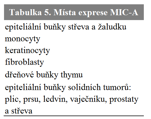asociovány s vyšším výskytem autoprotilátek proti jaderným proteinům, anti-mi2, typických pro DM (72). 1.1.2.2 Další geny HLA I.
